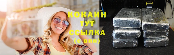 твердый Арсеньев
