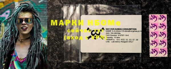 твердый Арсеньев