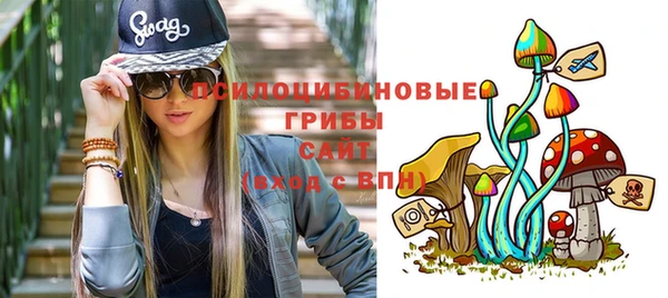 твердый Арсеньев