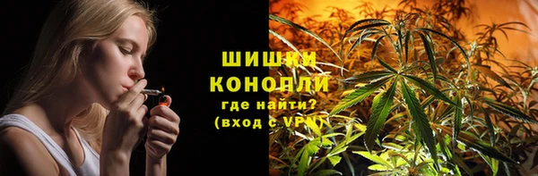 твердый Арсеньев