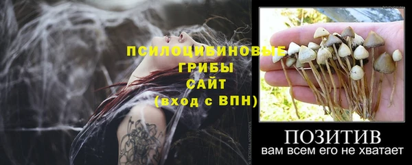 спайс Аркадак