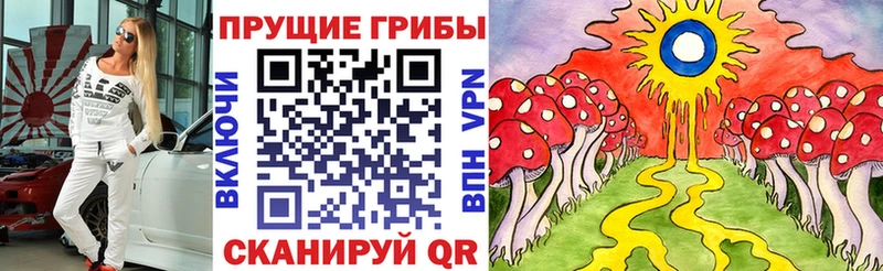 даркнет клад Астрахань Псилоцибиновые грибы Magic Shrooms